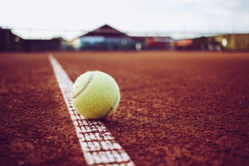 Elias and Mikael Ymer: Brothers-in-arms in tennis Image