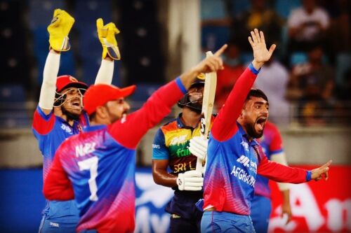 Afghanistan is reaping the benefits of its cricketers playing in T20 leagues across the world: Rashid Khan Image