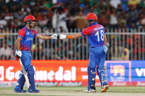 Asia Cup 2022: Afghanistan thrash Bangladesh by 7 wickets, qualify for Super Four Image