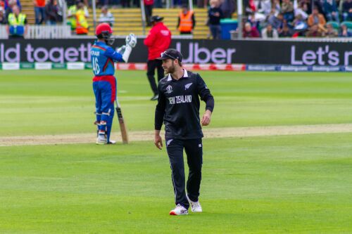 Kane Williamson's Fitness Under Scrutiny as New Zealand Eyes ICC Men's Cricket World Cup Image