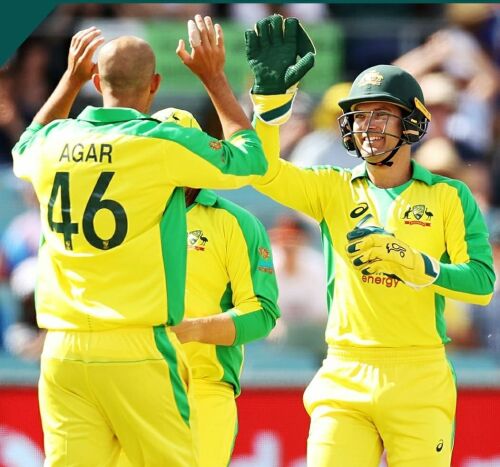 Daily Cricket News, 19 August: Australia announce T20 World Cup squad, Ireland confirm squad for Zimbabwe series, more Image