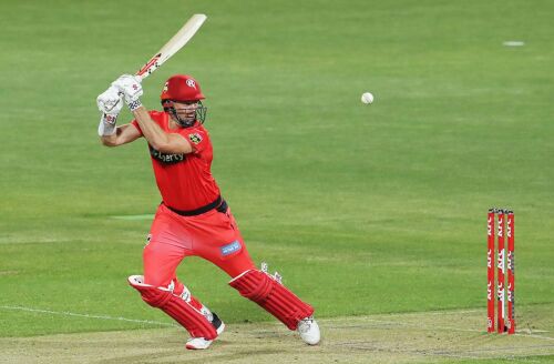 Cricket News, 3 December: Renegades beat Stars by five wickets, more Image