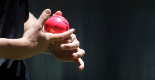 All you need to know about the pink ball ahead of the Day Night Test match Image